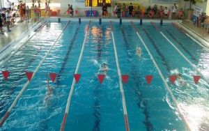 Torpeda Cup 2014 (6)