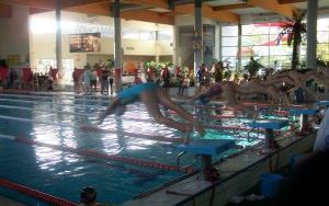 Torpeda Cup 2014 (15)