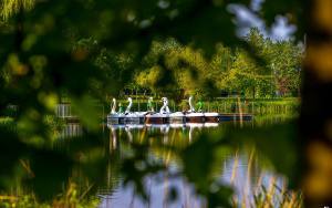 ATOL Marina Przystań Wodna (2)