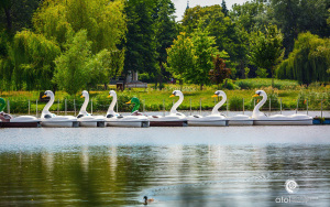 ATOL Marina Przystań Wodna (4)
