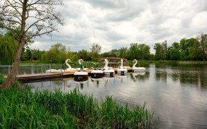 ATOL Marina Przystań Wodna (4)