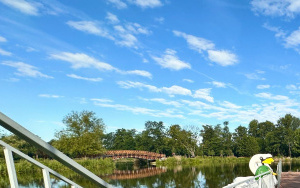 ATOL Marina - Przystań Wodna (3)